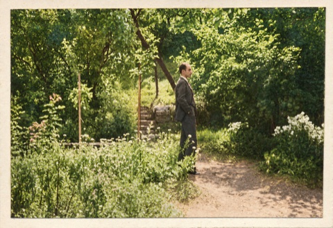A restored memory of a sunny garden